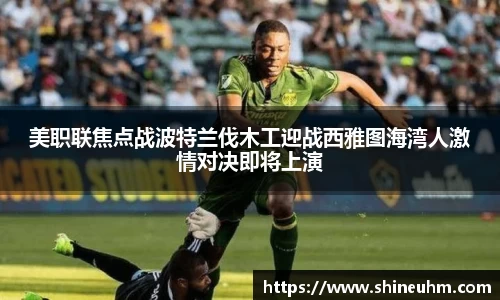 BB贝博艾弗森官方网站